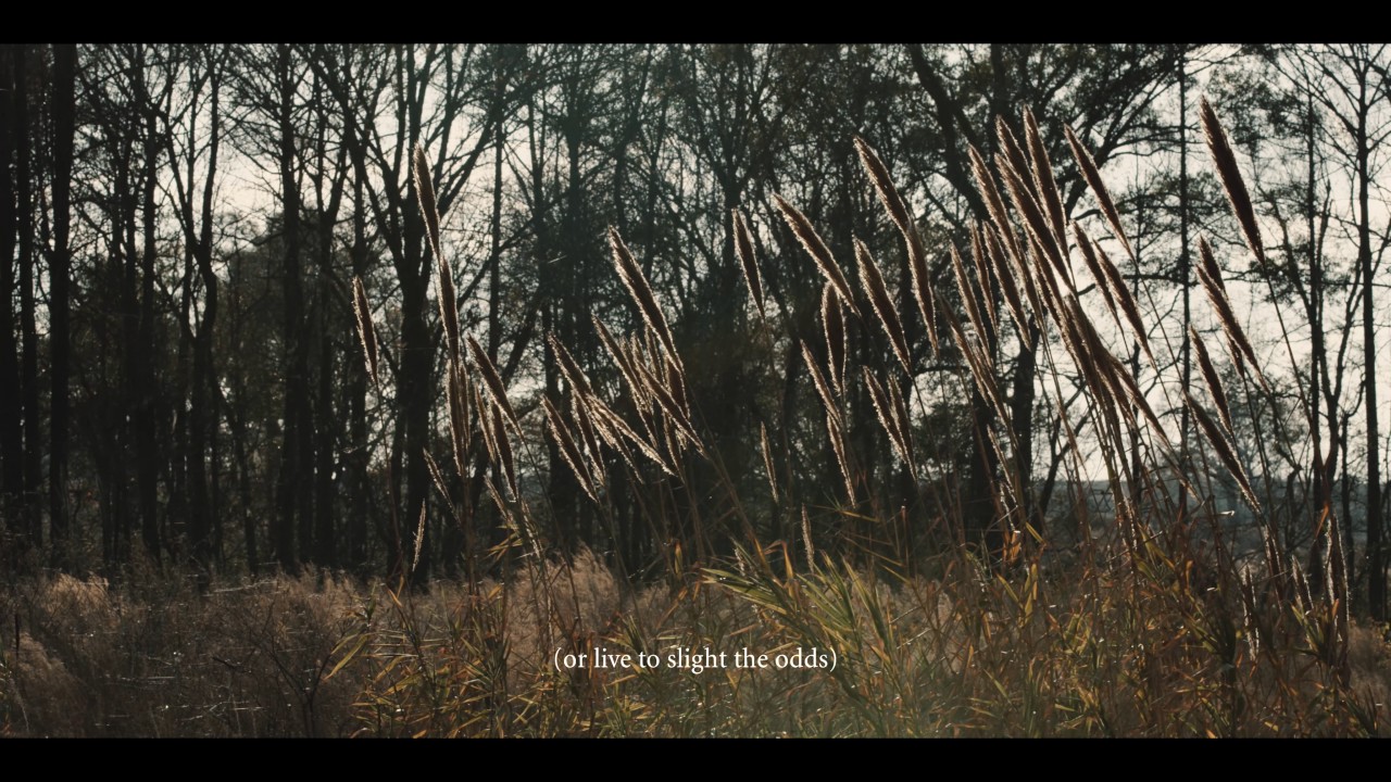 Demon Hunter - Slight The Odds