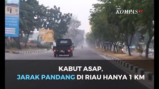 Download lagu Kabut Asap di Riau: Kualitas Udara Lebihi Batas Normal, Jarak Pandang Hanya 1 Km mp3
