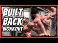 ZMF : Back Training Breakdown