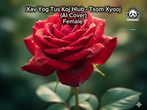 Xav Yog Tus Koj Hlub - Tsom Xyooj (AI Cover) Female Version 