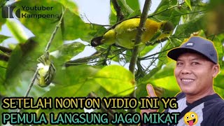 Download lagu cara mikat burung sirtu susah turun [] khusus pemula mp3
