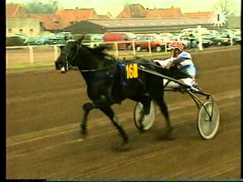 GP d'Hiver 1998 - Sterrebeek - Paparazzy