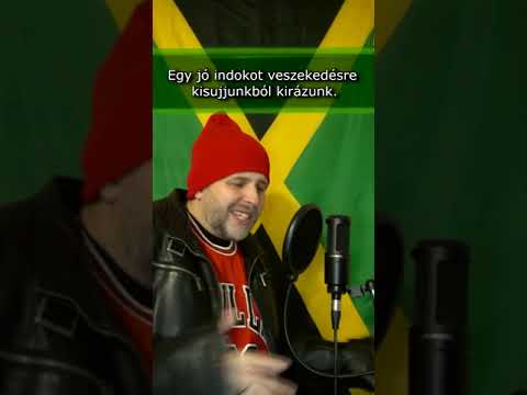 SitganPali - Vihar (Pozitív) (Busta Rhymes, Coolio, LL Cool J, Method Man B Real - Hit 'Em High)