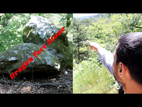 Pakistani Explores the French Forest must watch!