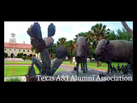 Texas A&I Javelinas Fight Song - 