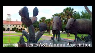 Texas A&I Javelinas Fight Song - 