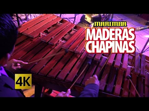 Marimba Maderas Chapinas - Concierto Orgullo Chapin / Calidad 4K