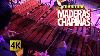Marimba Maderas Chapinas - Concierto Orgullo Chapin / Calidad 4K