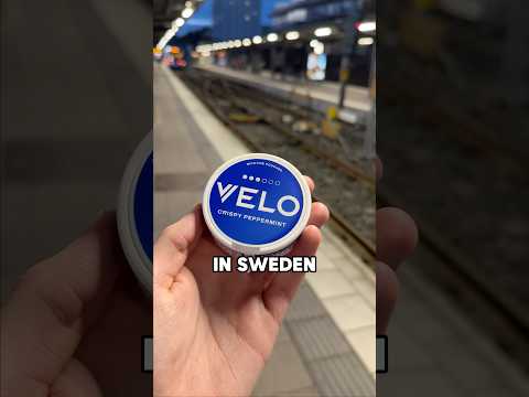 Swedens most popular product? 🇸🇪#sweden #zyn #viralvideo
