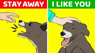 Why Dogs Bark At Some Strangers But Not Others (And 9 Other Curious Dog Behaviors Explained)