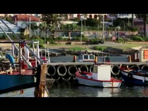 2014 Old Mutual Two Oceans Marathon Documentary