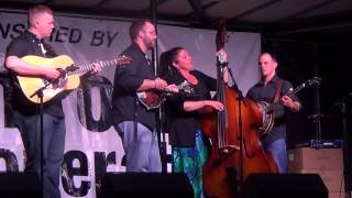 Pathway of Teardrops by Charlottetowne Collective