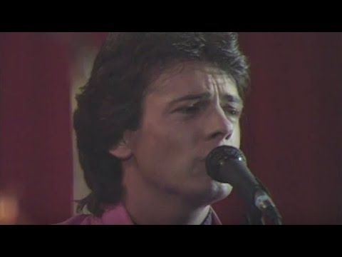 Rick Springfield - Jessie's Girl | 1981 | MDA Telethon