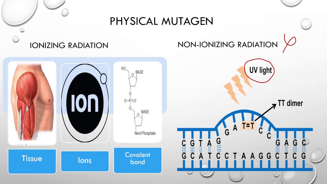 What are the different types of mutagens? Any Answer
