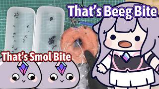 Peebles Making Fun Of Biboo Smol Bite In Her Bagel【Hololive EN】