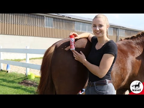 5-sterren Magic Style van leovet (toepassing op de dikke staart)