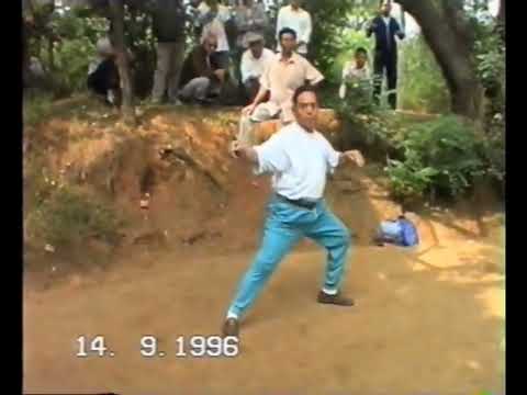 GM Feng Zhiqiang 1996 visit to Dalian 冯志强先师1996年大连访问时讲话和表演珍貴視頻 1/2