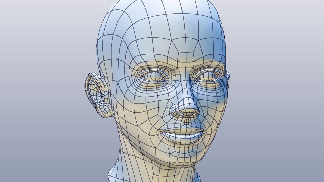 CAD model of female head F1P1D0V1head
