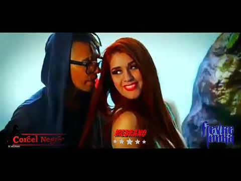 Corcel negro y la fiebre looka