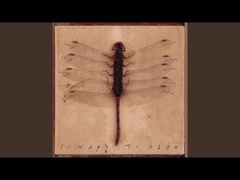 Festers Way video thumbnail
