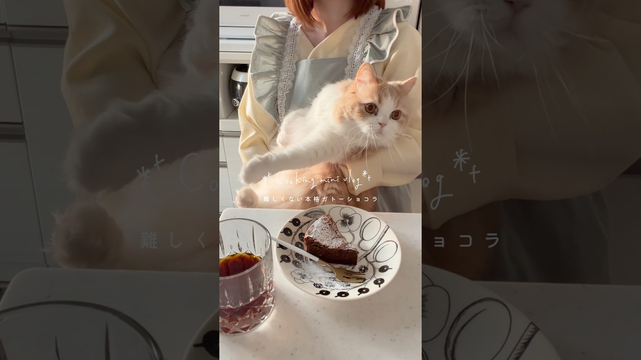 焼くまで30分！難しくない本格ガトーショコラ