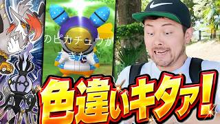 色違いキタぁあ！バグ？！メガシャンデラ＆ムクホーク！？？さぁー2匹目のXPピカチュウ色違い狙うぞおおお！【ポケモンGO】