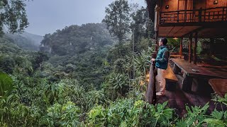 Living In A Treehouse Chiang Mai A Magical Thailand Escape