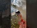 WATCH this video to learn how to use sage for smudging 🧿