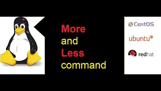 How to use More and Less command in Linux