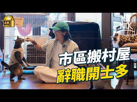 #MM｜屯門鍾屋村 街坊籌錢救流浪狗 每日專人洗傷口餵藥 美國回流唔住市區搬村屋開士多 救天水圍斷水斷糧30貓 街坊幫手暫託 領養｜#700萬種生活 #4K