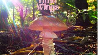 Little Wings - Sandy Babe