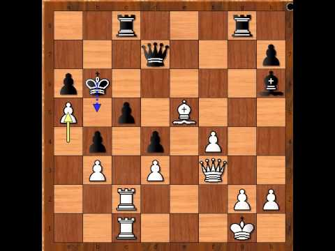 Najbolji potez u šahu , možda ikad odigran ? TARRASCH vs ALLIES - Birdovo otvaranje # 304