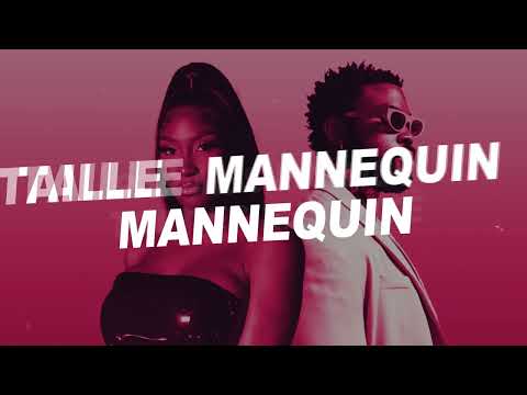 2025 Best Francophones Mix | Ya Levis,Aya Nakamura,Fally Ipupa,Tayc,Dadju,Jo&eacute; Dwet File | DJ Icebwoy