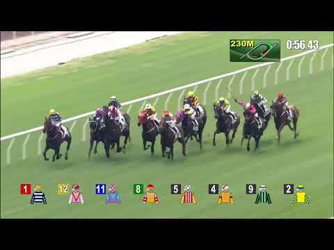 16/1/2022 (338) Golden Empire - Z Purton