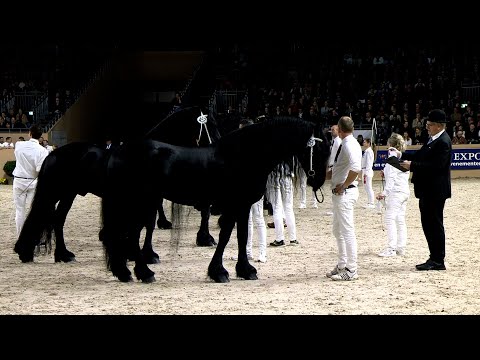 HK 2023 | Rubriek 2 | Alwin 469 en Eise 489