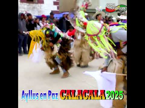 XXII Festival Ayllus en Paz CALACALA 2025 -"Pocoata"1p.- Pinkillada.(Video Oficial) de ALPRO BO.