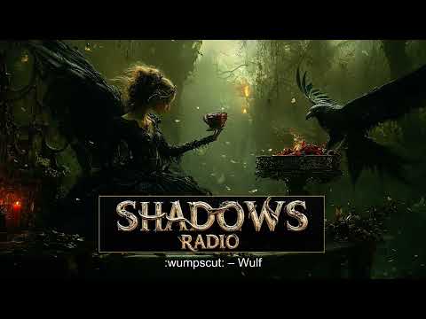 Best of Electronic Body Music 2026 - EBM - Electro Industrial Mix