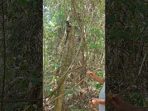 Em Inaciolândia GO muito bom, maravilhoso...