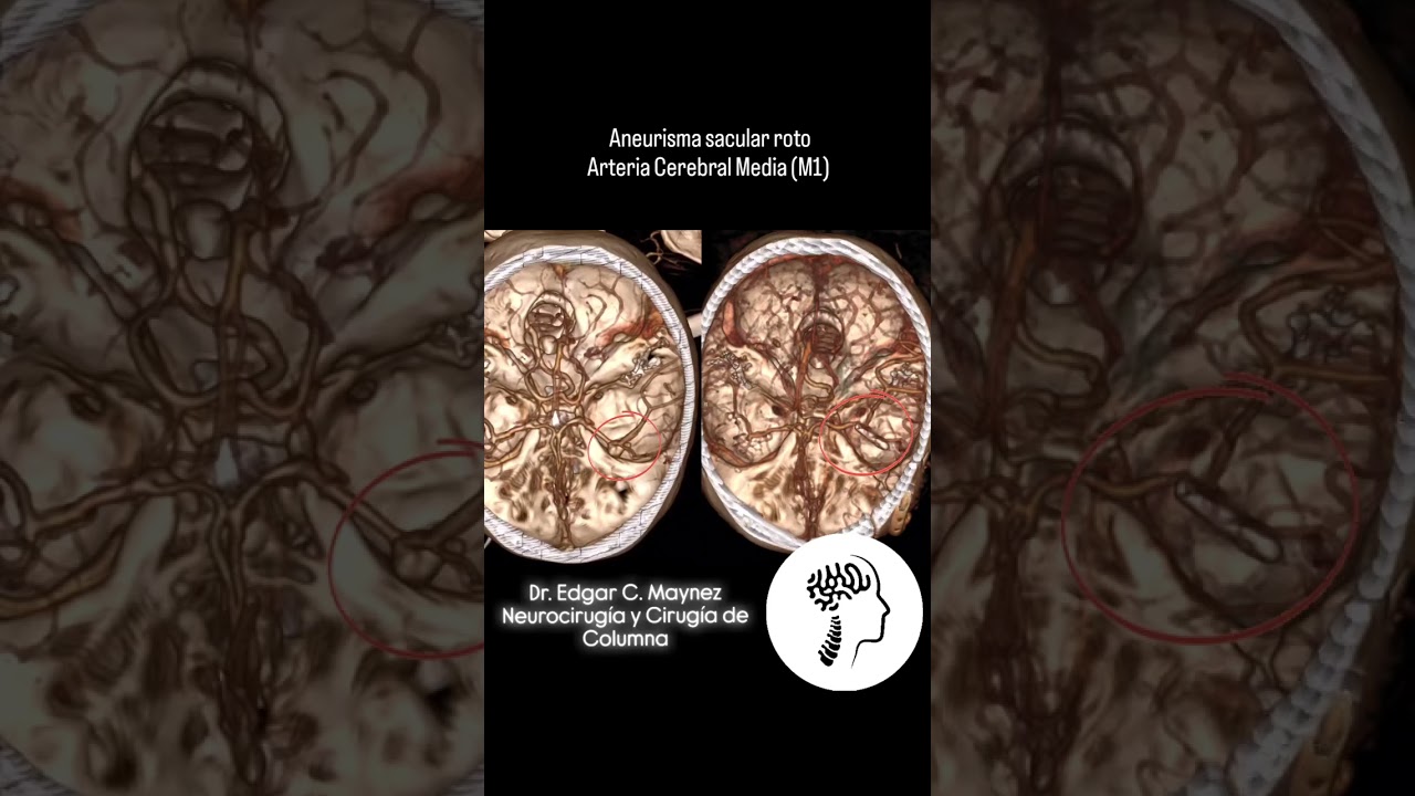 Edgar Christian Maynez Sibrian-3