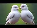 Misspriya Is Live Radhe Radhe Welcome To My Life Sabhi Ko