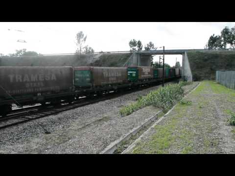 Comboio n.º 89480 - Pegões