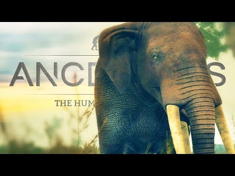 INTO THE SAVANNA! | Ancestors: The Humankind Odyssey Gameplay Part 8