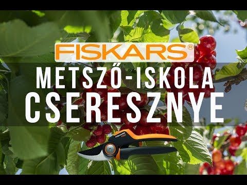 , title : 'A cseresznye metszése - Fiskars metsző-iskola /kert TV'