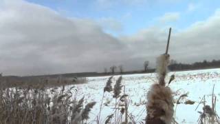 Ловля окуня зимой на московском море