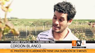 Enfoque de Negocios   Programa 3