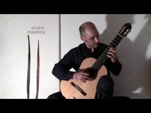 CHACONNE, BWV 1004, Partita II - J. S. Bach | André Madeira - Big Guitar XV