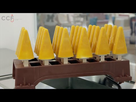 Ice-Cream Stick Machines Series G 1000