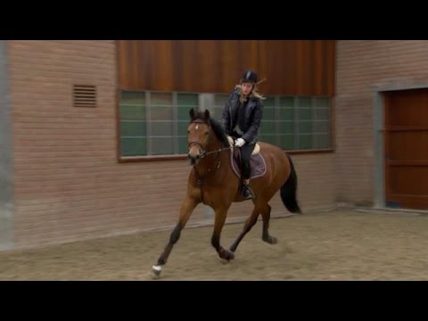 Rachel krijgt privéles van Jeroen Dubbeldam - DE WENSBOOM