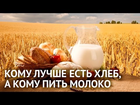 Ритмология. Кому лучше есть хлеб, а кому пить молоко | Ритмология на ...
