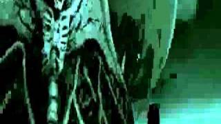 12 Stone Toddler - Seasick